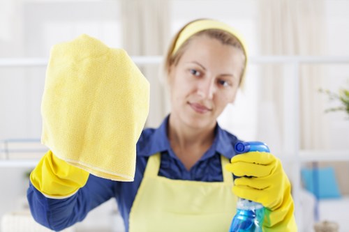Professional steam carpet cleaning in Osidge removing deep dirt from carpet fibres