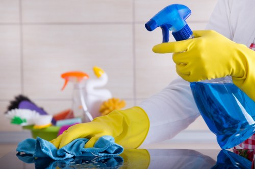 Osidge carpet cleaners providing professional floor care
