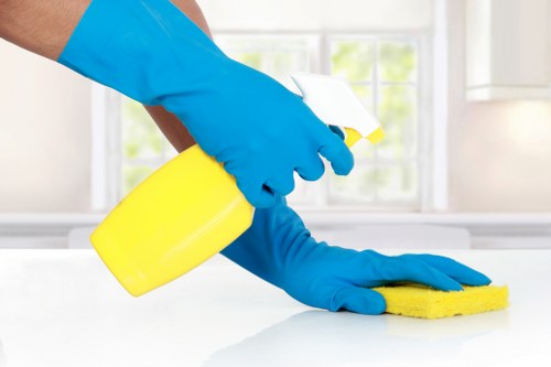 Stain removal process for sofa upholstery in Osidge