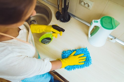 Accessible Osidge Carpet Cleaners webpage shown on a device with clear text and structured layout
