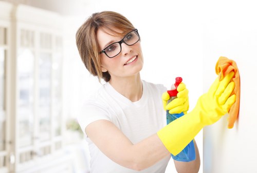 Expert stain removal process for carpets and rugs in Osidge