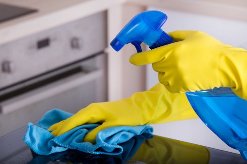 Service terms page detailing liability and governing law