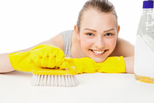 Detailed carpet care process showing cleaning treatment for a living room floor