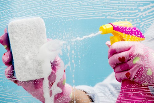 Fresh and clean home after pet stain odour removal in Osidge