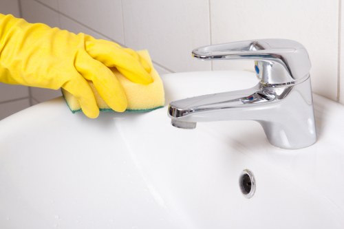 Cleaning pet stains and lingering odours from upholstery in Osidge