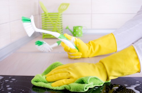 Professional stain treatment for upholstery in Osidge