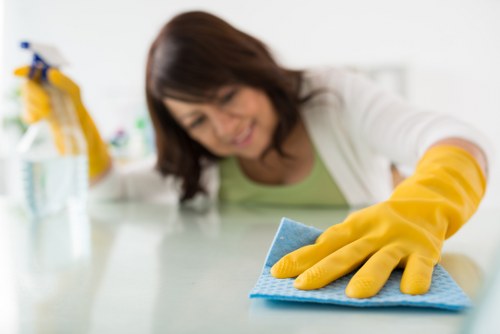 Technician applying safe cleaning procedures in a treated room